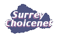 Surrey Choicenet Town Guide